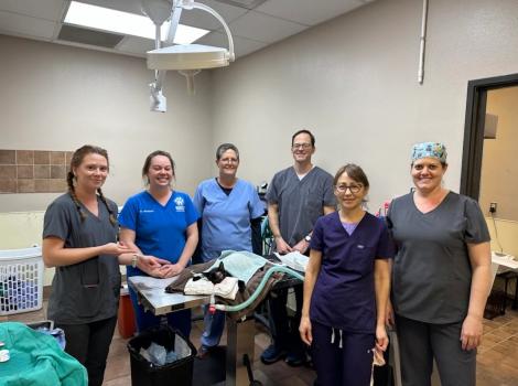 The six people of the surgical team for the Brownsville spay-neuter-a-thon around a surgical table with a sedated black cat